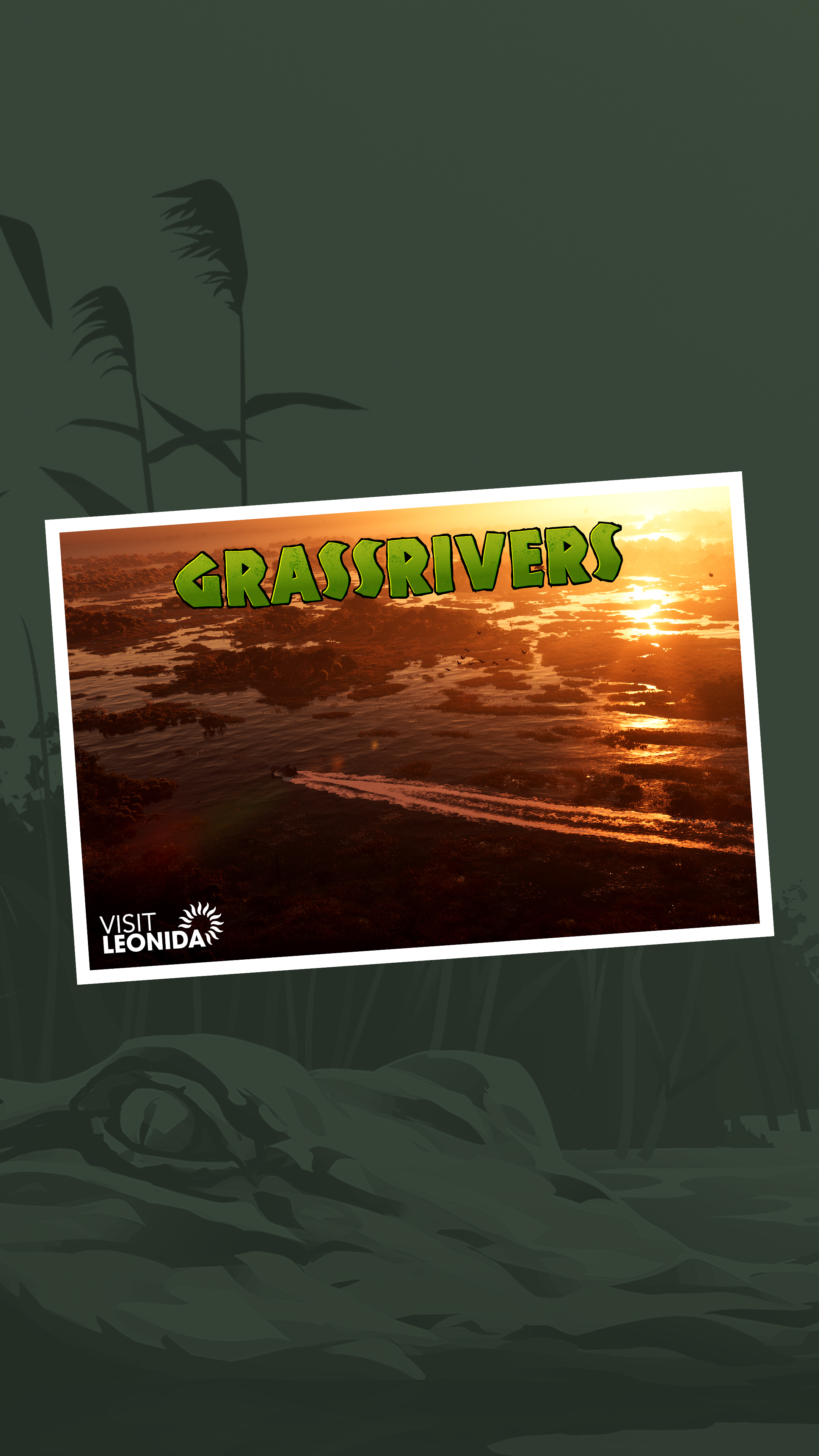 Grassrivers — still 8