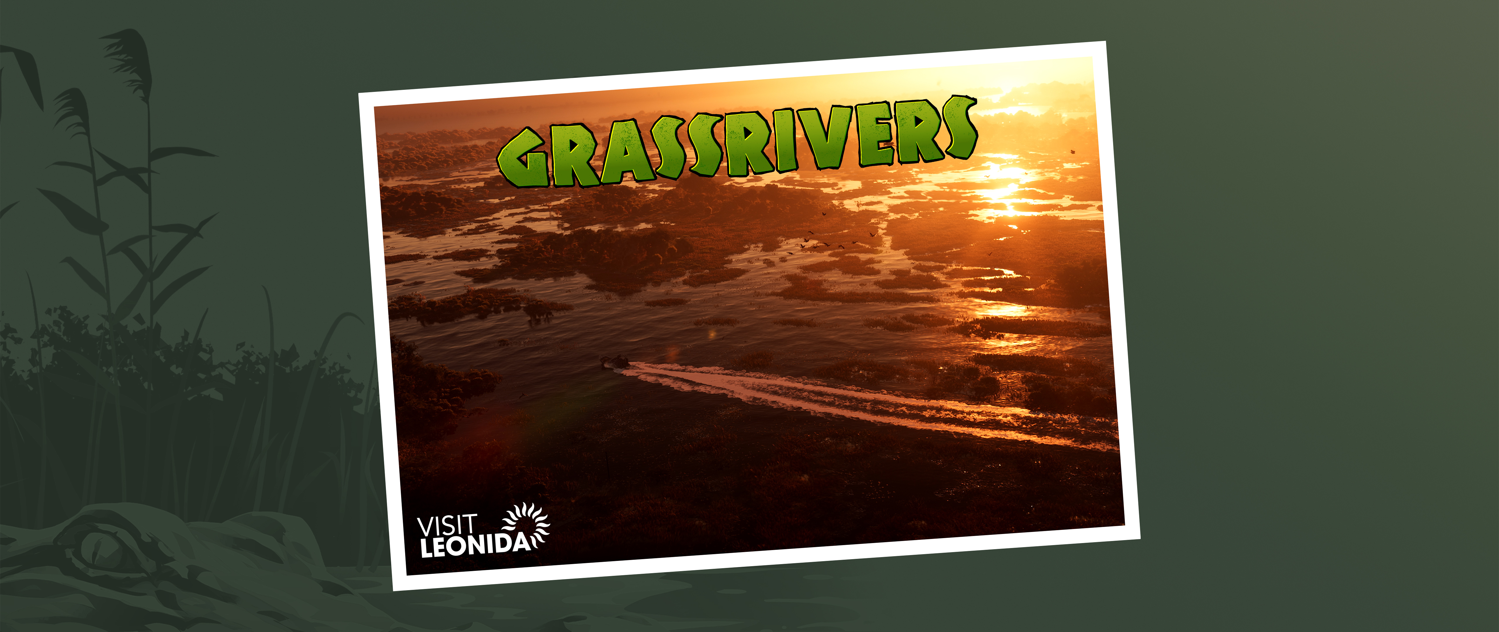 Grassrivers — still 11