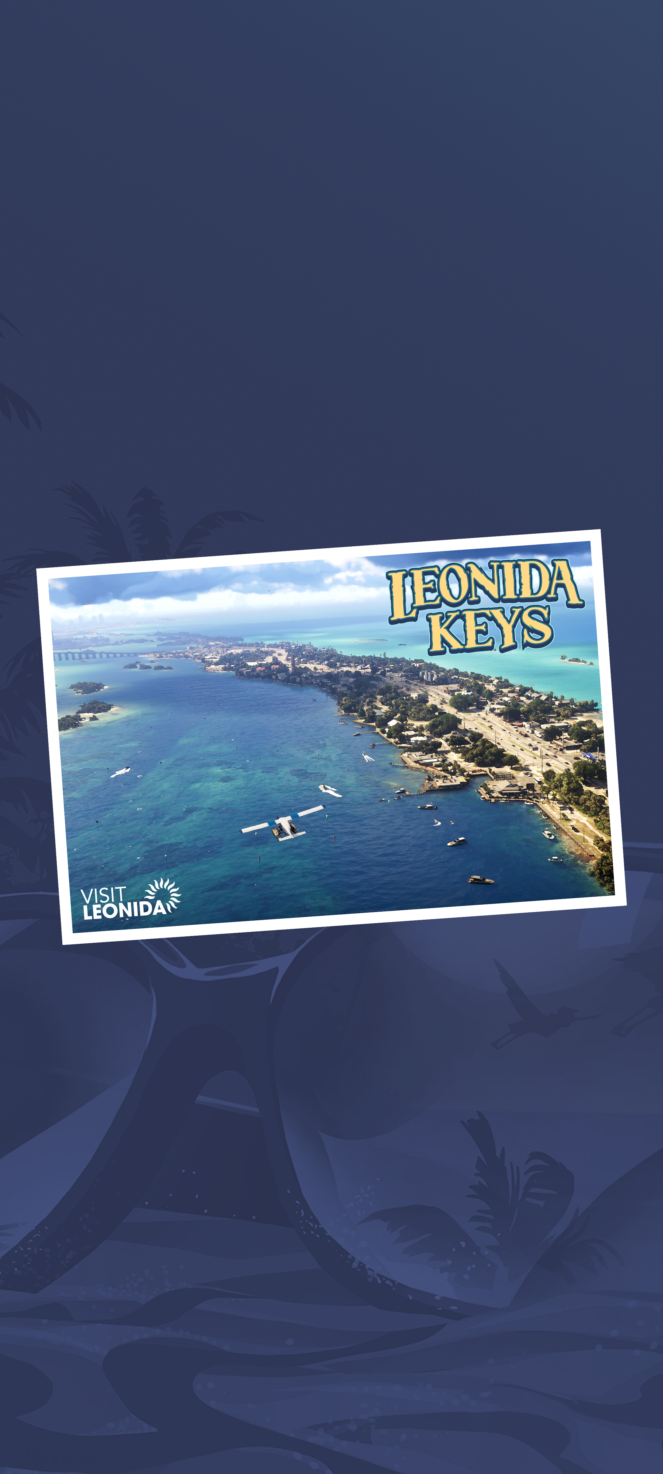 Leonida Keys — still 8